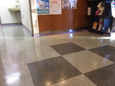 ﾄﾞｯｸﾞﾗﾝｺｰﾃｨﾝｸﾞ施工実績 東京都稲城市 ｾﾗﾋﾟｰ動物病院 施工実績 ドッグランコーティング