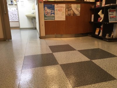 ﾄﾞｯｸﾞﾗﾝｺｰﾃｨﾝｸﾞ施工実績 東京都稲城市 ｾﾗﾋﾟｰ動物病院 施工実績 ドッグランコーティング